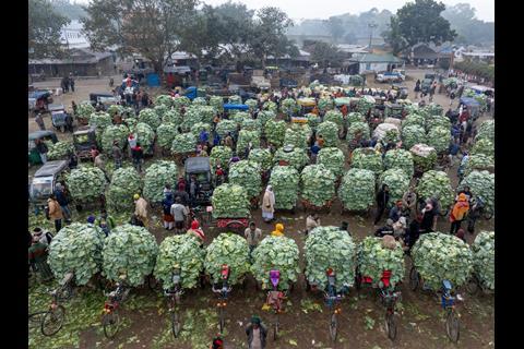 Winner Unearthed Food for Sale: Cabbage market, Kazi Mohammad Golam Quddus
